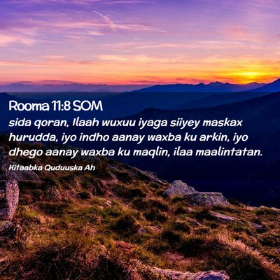 Picture 02 - Rooma 11:8 SOM - sida qoran, Ilaah wuxuu iyaga siiyey maskax - Bible Verse Picture