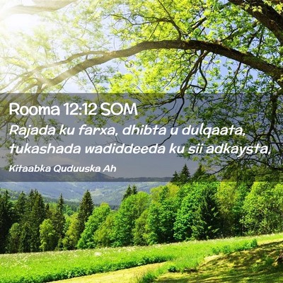 Picture 02 - Rooma 12:12 SOM - Rajada ku farxa, dhibta u dulqaata, tukashada - Bible Verse Picture