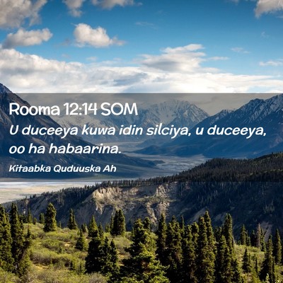 Picture 02 - Rooma 12:14 SOM - U duceeya kuwa idin silciya, u duceeya, oo ha - Bible Verse Picture