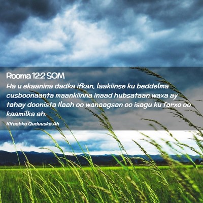 Picture 02 - Rooma 12:2 SOM - Ha u ekaanina dadka ifkan, laakiinse ku beddelma - Bible Verse Picture