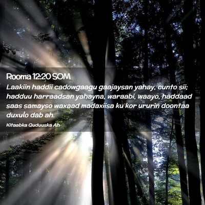 Picture 02 - Rooma 12:20 SOM - Laakiin haddii cadowgaagu gaajaysan yahay, cunto - Bible Verse Picture