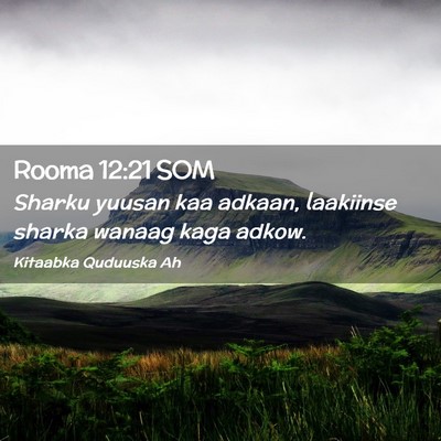 Picture 02 - Rooma 12:21 SOM - Sharku yuusan kaa adkaan, laakiinse sharka wanaag - Bible Verse Picture