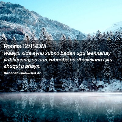 Picture 02 - Rooma 12:4 SOM - Waayo, sida aynu xubno badan ugu leennahay - Bible Verse Picture