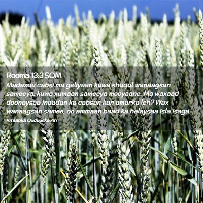 Picture 02 - Rooma 13:3 SOM - Madaxdu cabsi ma geliyaan kuwa shuqul wanaagsan - Bible Verse Picture
