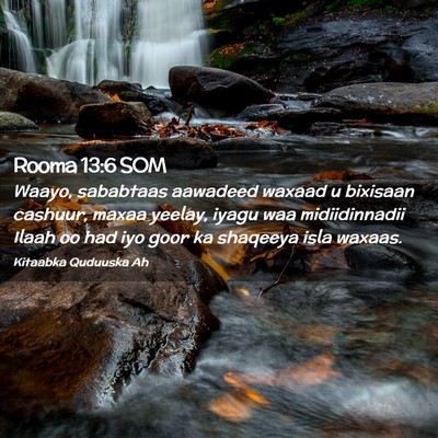 Picture 02 - Rooma 13:6 SOM - Waayo, sababtaas aawadeed waxaad u bixisaan - Bible Verse Picture