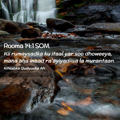 Picture 02 - Rooma 14:1 SOM - Kii rumaysadka ku itaal yar soo dhoweeya, mana - Bible Verse Picture
