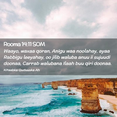 Picture 02 - Rooma 14:11 SOM - Waayo, waxaa qoran, Anigu waa noolahay, ayaa - Bible Verse Picture