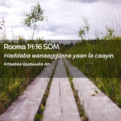 Picture 02 - Rooma 14:16 SOM - Haddaba wanaaggiinna yaan la - Bible Verse Picture