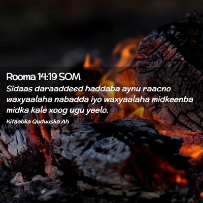 Picture 02 - Rooma 14:19 SOM - Sidaas daraaddeed haddaba aynu raacno waxyaalaha - Bible Verse Picture