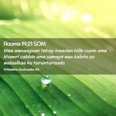 Picture 02 - Rooma 14:21 SOM - Waa wanaagsan tahay inaadan hilib cunin ama - Bible Verse Picture