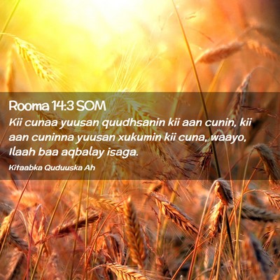 Picture 02 - Rooma 14:3 SOM - Kii cunaa yuusan quudhsanin kii aan cunin, kii - Bible Verse Picture