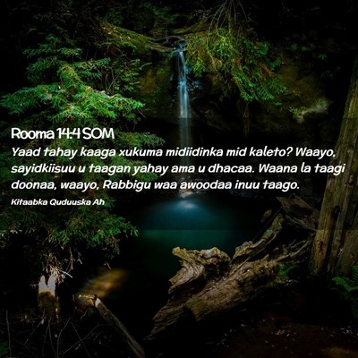 Picture 02 - Rooma 14:4 SOM - Yaad tahay kaaga xukuma midiidinka mid kaleto? - Bible Verse Picture