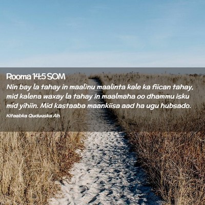 Picture 02 - Rooma 14:5 SOM - Nin bay la tahay in maalinu maalinta kale ka - Bible Verse Picture