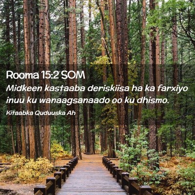 Picture 02 - Rooma 15:2 SOM - Midkeen kastaaba deriskiisa ha ka farxiyo inuu ku - Bible Verse Picture