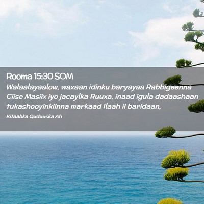 Picture 02 - Rooma 15:30 SOM - Walaalayaalow, waxaan idinku baryayaa Rabbigeenna - Bible Verse Picture