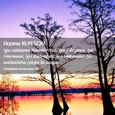 Picture 02 - Rooma 16:14 SOM - Igu salaama Asunkiritos, iyo Filegoon, iyo - Bible Verse Picture
