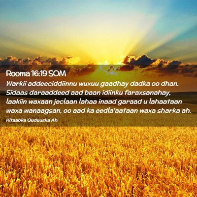 Picture 02 - Rooma 16:19 SOM - Warkii addeeciddiinnu wuxuu gaadhay dadka oo - Bible Verse Picture
