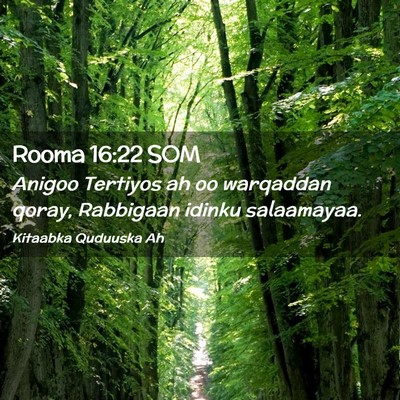 Picture 02 - Rooma 16:22 SOM - Anigoo Tertiyos ah oo warqaddan qoray, Rabbigaan - Bible Verse Picture