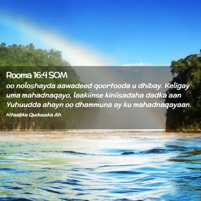Picture 02 - Rooma 16:4 SOM - oo noloshayda aawadeed qoortooda u dhibay. - Bible Verse Picture