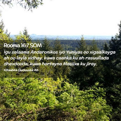 Picture 02 - Rooma 16:7 SOM - Igu salaama Andaronikos iyo Yuniyas oo - Bible Verse Picture