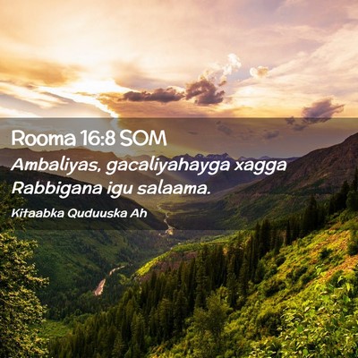 Picture 02 - Rooma 16:8 SOM - Ambaliyas, gacaliyahayga xagga Rabbigana igu - Bible Verse Picture