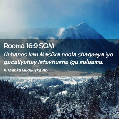 Picture 02 - Rooma 16:9 SOM - Urbanos kan Masiixa noola shaqeeya iyo - Bible Verse Picture