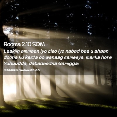 Picture 02 - Rooma 2:10 SOM - Laakiin ammaan iyo ciso iyo nabad baa u ahaan - Bible Verse Picture