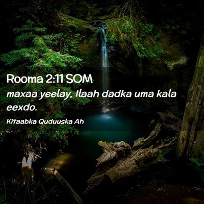 Picture 02 - Rooma 2:11 SOM - maxaa yeelay, Ilaah dadka uma kala - Bible Verse Picture