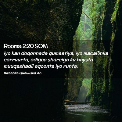 Picture 02 - Rooma 2:20 SOM - iyo kan doqonnada qumaatiya, iyo macallinka - Bible Verse Picture