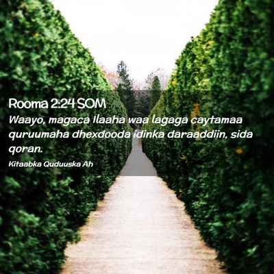 Picture 02 - Rooma 2:24 SOM - Waayo, magaca Ilaaha waa lagaga caytamaa - Bible Verse Picture