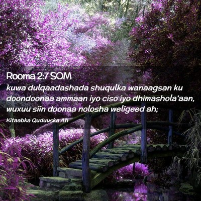 Picture 02 - Rooma 2:7 SOM - kuwa dulqaadashada shuqulka wanaagsan ku - Bible Verse Picture