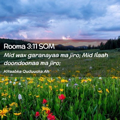 Picture 02 - Rooma 3:11 SOM - Mid wax garanayaa ma jiro; Mid Ilaah doondoonaa - Bible Verse Picture
