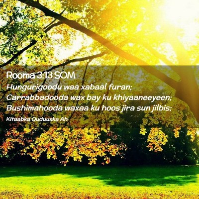 Picture 02 - Rooma 3:13 SOM - Hungurigoodu waa xabaal furan; Carrabbadooda wax - Bible Verse Picture