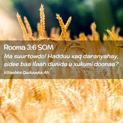 Picture 02 - Rooma 3:6 SOM - Ma suurtowdo! Hadduu xaq daranyahay, sidee baa - Bible Verse Picture