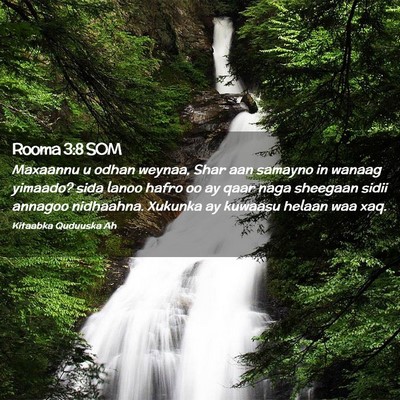 Picture 02 - Rooma 3:8 SOM - Maxaannu u odhan weynaa, Shar aan samayno in - Bible Verse Picture