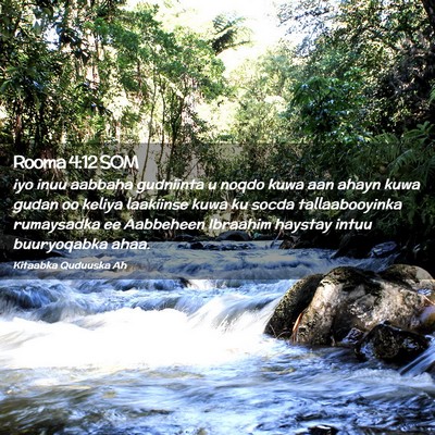 Picture 02 - Rooma 4:12 SOM - iyo inuu aabbaha gudniinta u noqdo kuwa aan ahayn - Bible Verse Picture