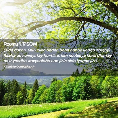 Picture 02 - Rooma 4:17 SOM - (sida qoran, Quruumo badan baan aabbe kaaga - Bible Verse Picture