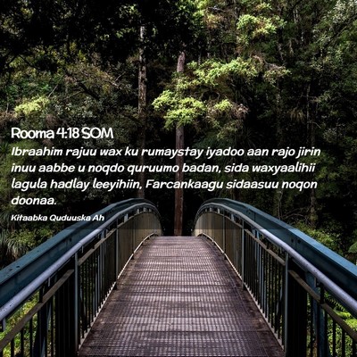 Picture 02 - Rooma 4:18 SOM - Ibraahim rajuu wax ku rumaystay iyadoo aan rajo - Bible Verse Picture