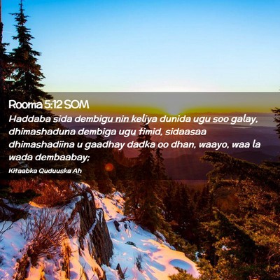 Picture 02 - Rooma 5:12 SOM - Haddaba sida dembigu nin keliya dunida ugu soo - Bible Verse Picture