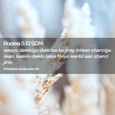 Picture 02 - Rooma 5:13 SOM - waayo, dembigu duniduu ku jiray intaan sharcigu - Bible Verse Picture