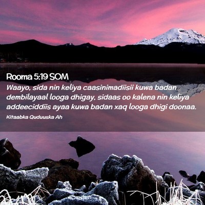 Picture 02 - Rooma 5:19 SOM - Waayo, sida nin keliya caasinimadiisii kuwa badan - Bible Verse Picture