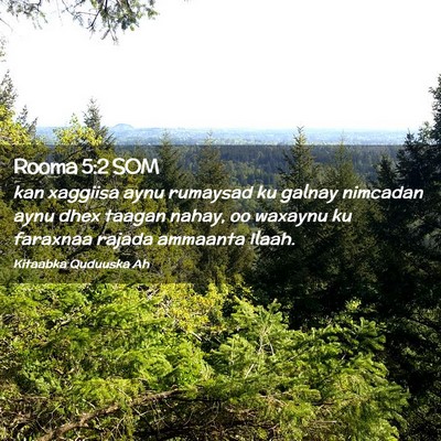 Picture 02 - Rooma 5:2 SOM - kan xaggiisa aynu rumaysad ku galnay nimcadan - Bible Verse Picture