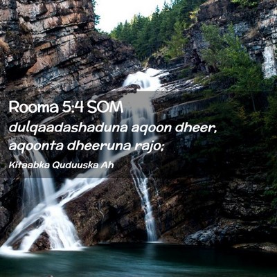 Picture 02 - Rooma 5:4 SOM - dulqaadashaduna aqoon dheer, aqoonta dheeruna - Bible Verse Picture