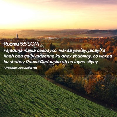 Picture 02 - Rooma 5:5 SOM - rajaduna inama ceebayso, maxaa yeelay, jacaylka - Bible Verse Picture