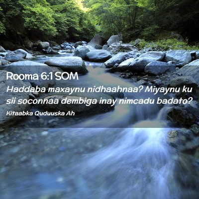 Picture 02 - Rooma 6:1 SOM - Haddaba maxaynu nidhaahnaa? Miyaynu ku sii - Bible Verse Picture