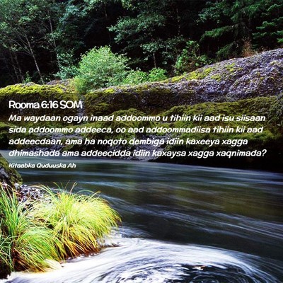 Picture 02 - Rooma 6:16 SOM - Ma waydaan ogayn inaad addoommo u tihiin kii aad - Bible Verse Picture