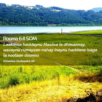 Picture 02 - Rooma 6:8 SOM - Laakiinse haddaynu Masiixa la dhimannay, waxaynu - Bible Verse Picture