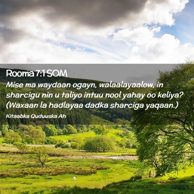 Picture 02 - Rooma 7:1 SOM - Mise ma waydaan ogayn, walaalayaalow, in sharcigu - Bible Verse Picture