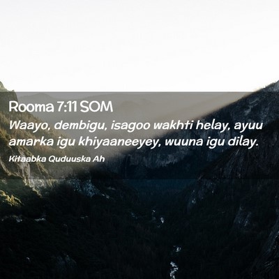 Picture 02 - Rooma 7:11 SOM - Waayo, dembigu, isagoo wakhti helay, ayuu amarka - Bible Verse Picture