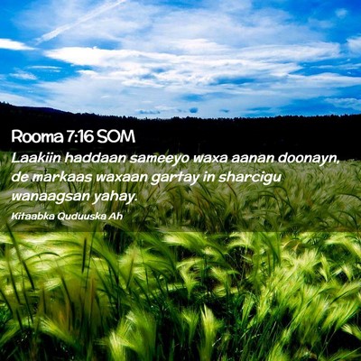 Picture 02 - Rooma 7:16 SOM - Laakiin haddaan sameeyo waxa aanan doonayn, de - Bible Verse Picture